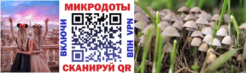 hydra ТОР  Яхрома  Галлюциногенные грибы GOLDEN TEACHER 
